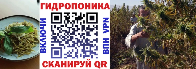 Cannafood конопля  Сим 