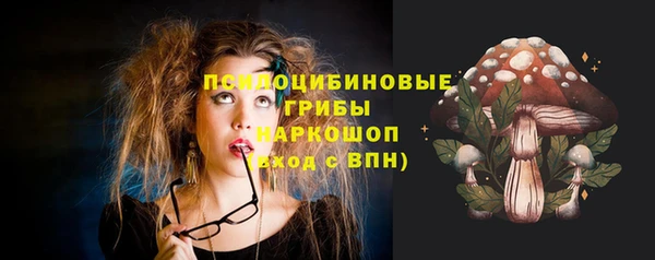 PSILOCYBIN Армянск